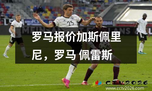 罗马报价加斯佩里尼，罗马 佩雷斯
