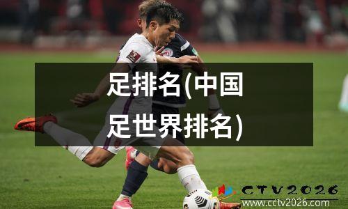 足排名(中国足世界排名)