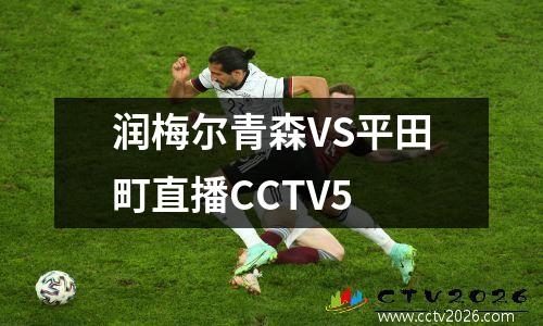 润梅尔青森VS平田町直播CCTV5