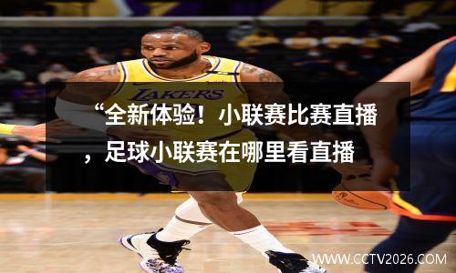 “全新体验！小联赛比赛直播，足球小联赛在哪里看直播