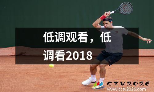 低调观看，低调看2018