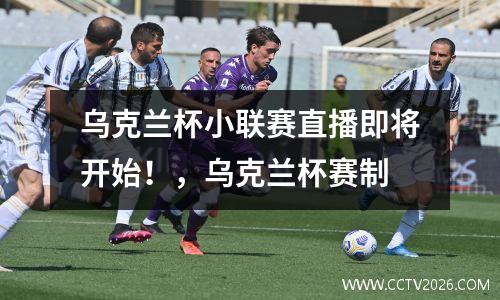 乌克兰杯小联赛直播即将开始！，乌克兰杯赛制