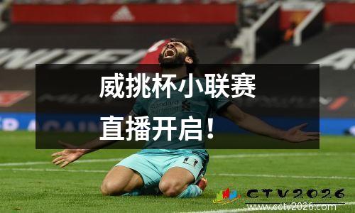 威挑杯小联赛直播开启！