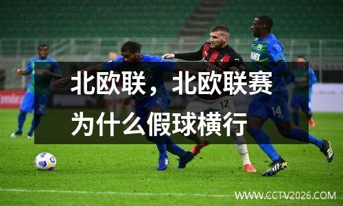 北欧联，北欧联赛为什么假球横行