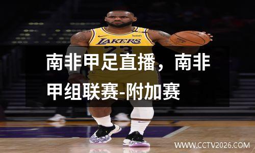 南非甲足直播，南非甲组联赛-附加赛