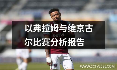以弗拉姆与维京古尔比赛分析报告
