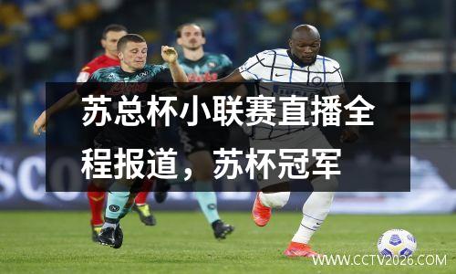 苏总杯小联赛直播全程报道，苏杯冠军