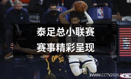 泰足总小联赛赛事精彩呈现