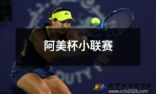 阿美杯小联赛