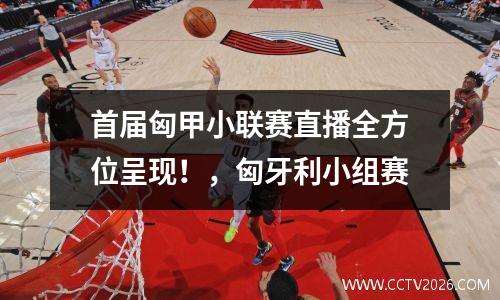 首届匈甲小联赛直播全方位呈现！，匈牙利小组赛