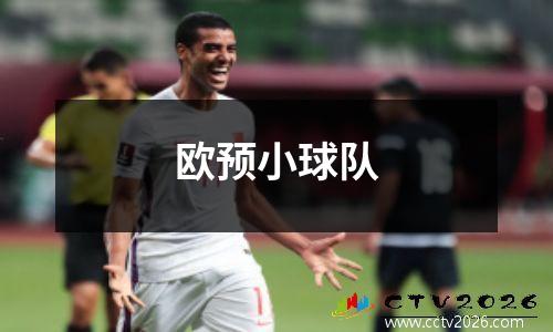 欧预小球队