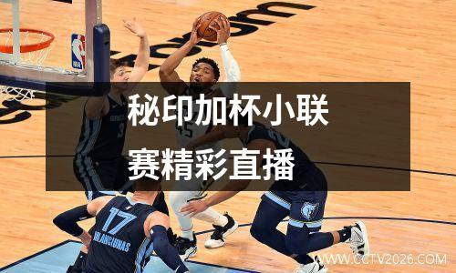 秘印加杯小联赛精彩直播