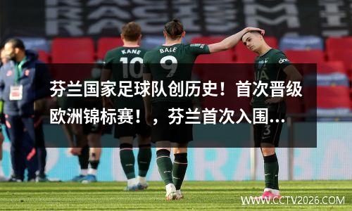 芬兰国家足球队创历史！首次晋级欧洲锦标赛！，芬兰首次入围欧洲杯庆祝