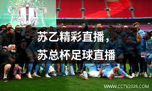 苏乙精彩直播，苏总杯足球直播