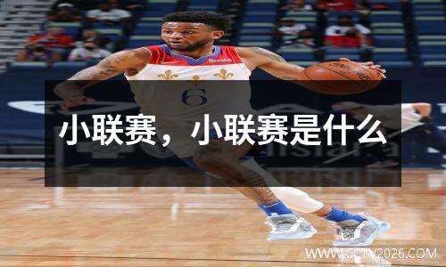 小联赛，小联赛是什么