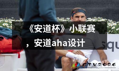 《安道杯》小联赛，安道aha设计