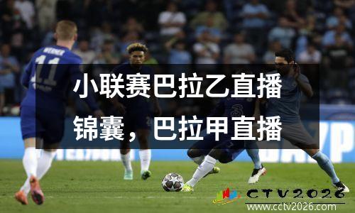 小联赛巴拉乙直播锦囊，巴拉甲直播