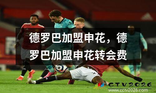 德罗巴加盟申花，德罗巴加盟申花转会费