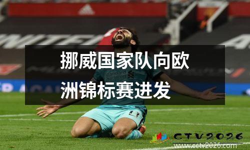 挪威国家队向欧洲锦标赛进发