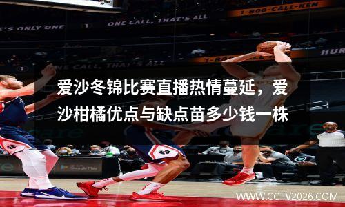 爱沙冬锦比赛直播热情蔓延，爱沙柑橘优点与缺点苗多少钱一株
