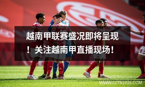 越南甲联赛盛况即将呈现！关注越南甲直播现场！