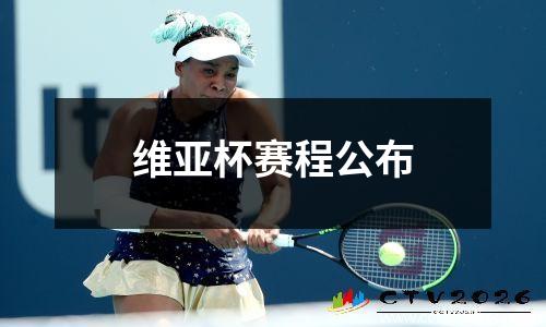 维亚杯赛程公布