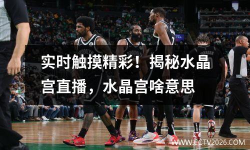 实时触摸精彩！揭秘水晶宫直播，水晶宫啥意思