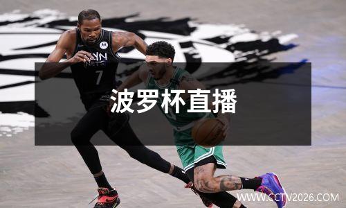 波罗杯直播