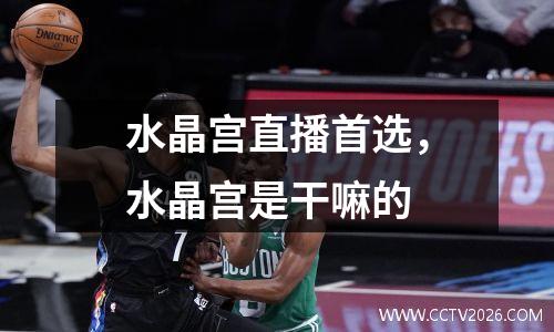 水晶宫直播首选，水晶宫是干嘛的