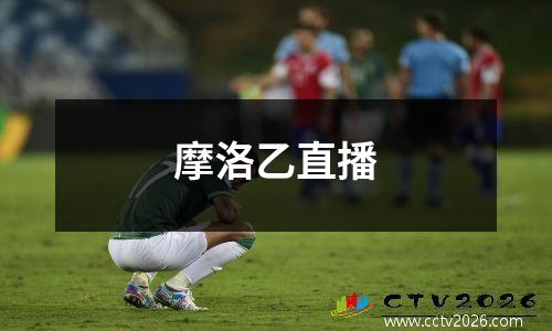 摩洛乙直播