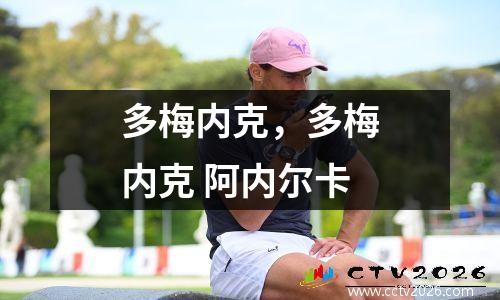 多梅内克，多梅内克 阿内尔卡