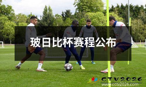 玻日比杯赛程公布