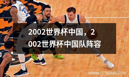 2002世界杯中国，2002世界杯中国队阵容