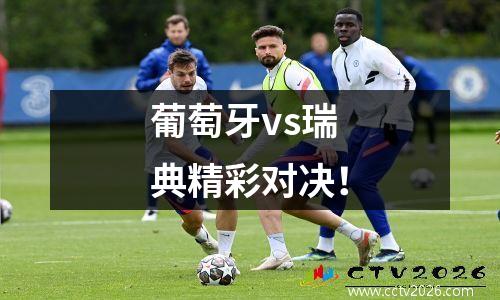 葡萄牙vs瑞典精彩对决！