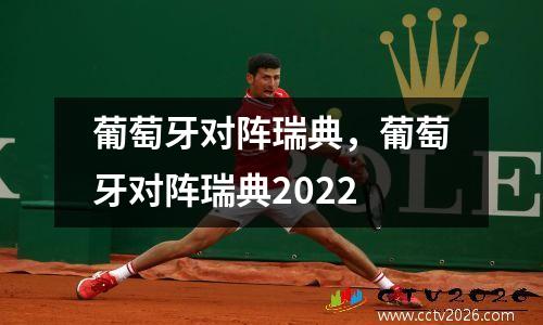 葡萄牙对阵瑞典，葡萄牙对阵瑞典2022