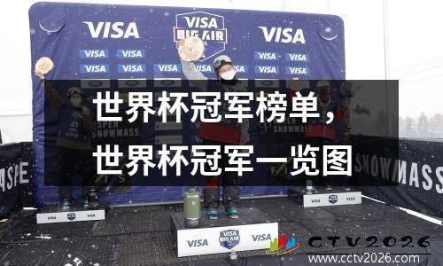 世界杯冠军榜单，世界杯冠军一览图