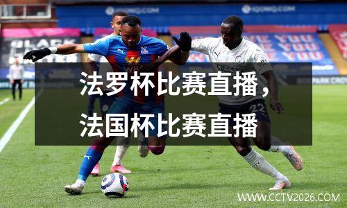 法罗杯比赛直播，法国杯比赛直播