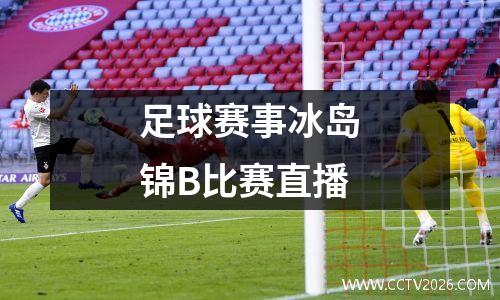 足球赛事冰岛锦B比赛直播