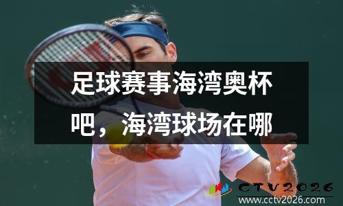 足球赛事海湾奥杯吧，海湾球场在哪