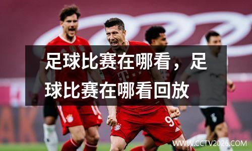 足球比赛在哪看，足球比赛在哪看回放