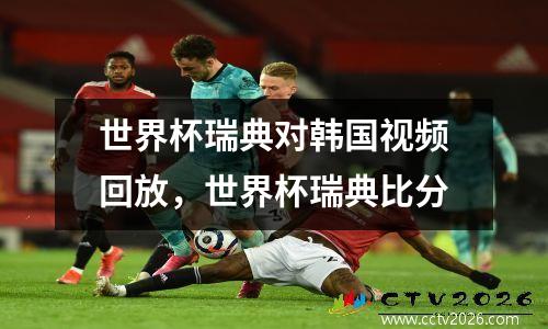 世界杯瑞典对韩国视频回放，世界杯瑞典比分