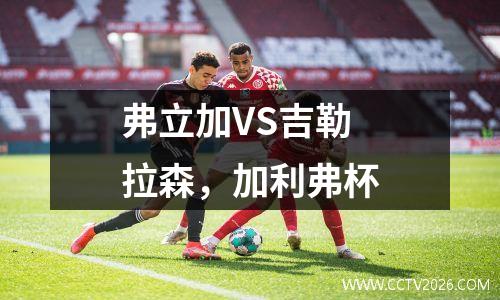 弗立加VS吉勒拉森，加利弗杯