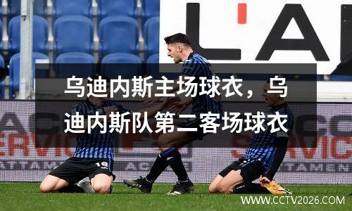 乌迪内斯主场球衣，乌迪内斯队第二客场球衣