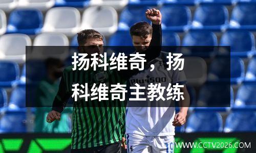 扬科维奇，扬科维奇主教练
