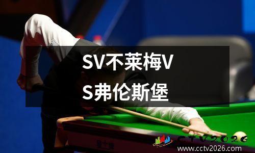 SV不莱梅VS弗伦斯堡