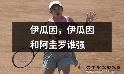 伊瓜因，伊瓜因和阿圭罗谁强