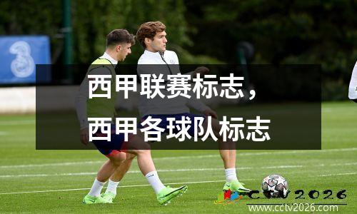 西甲联赛标志，西甲各球队标志