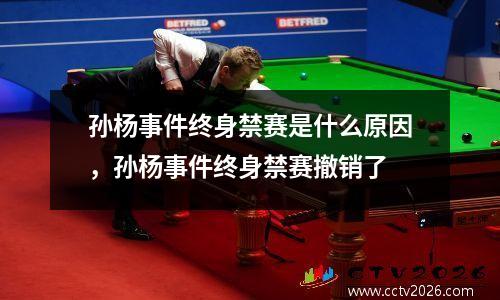 孙杨事件终身禁赛是什么原因，孙杨事件终身禁赛撤销了