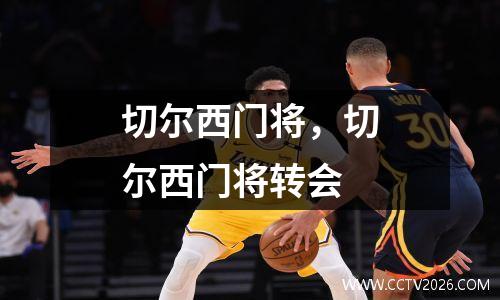 切尔西门将，切尔西门将转会
