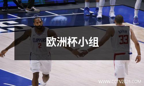欧洲杯小组